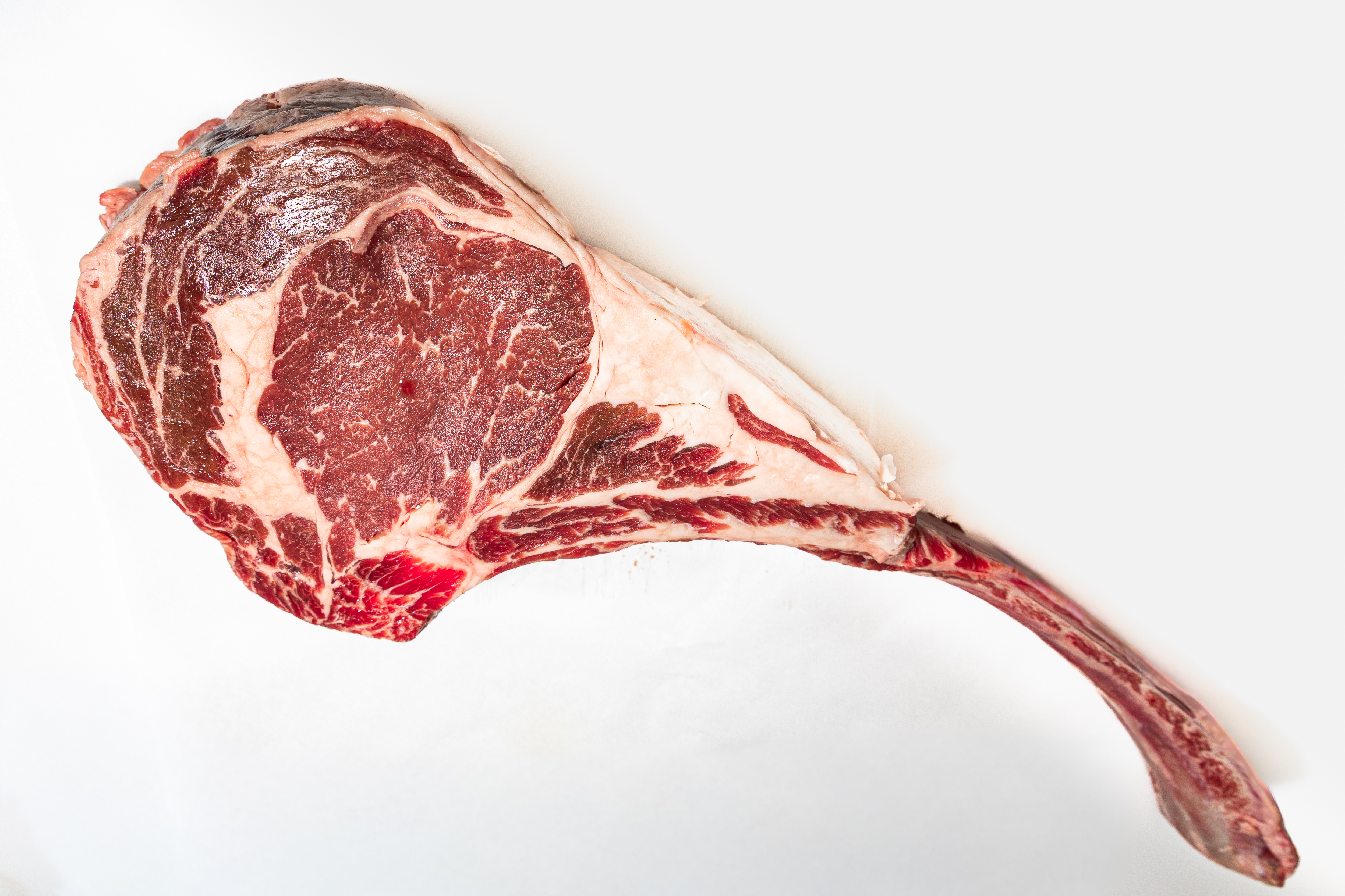 Tomahawk